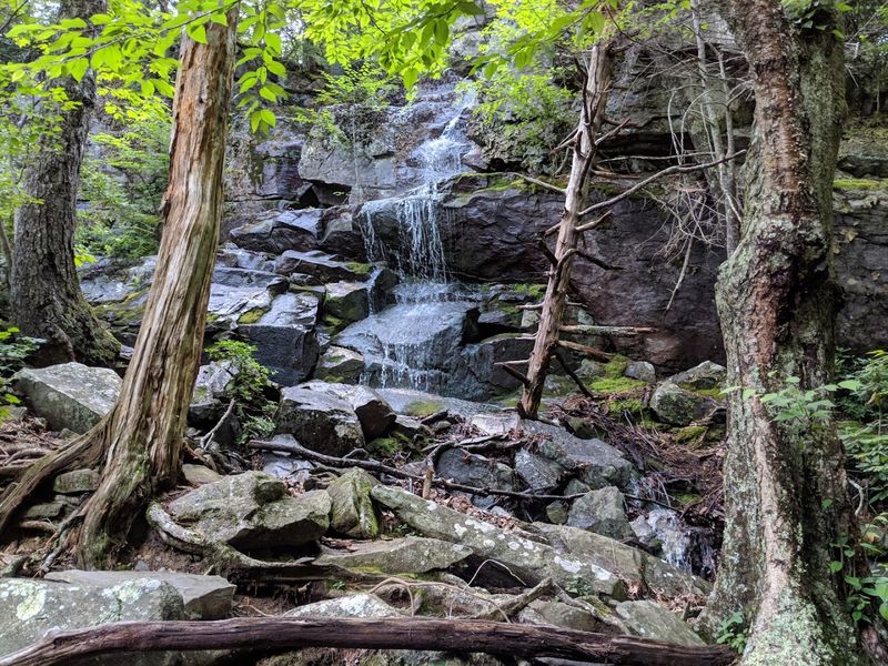 The Trail Itself Is Half the Adventure