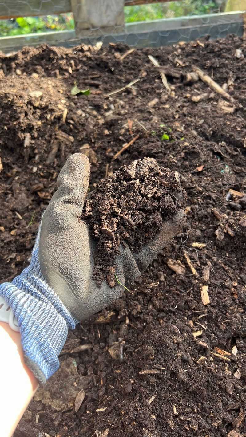 Compost Wins Over Bagged Soil