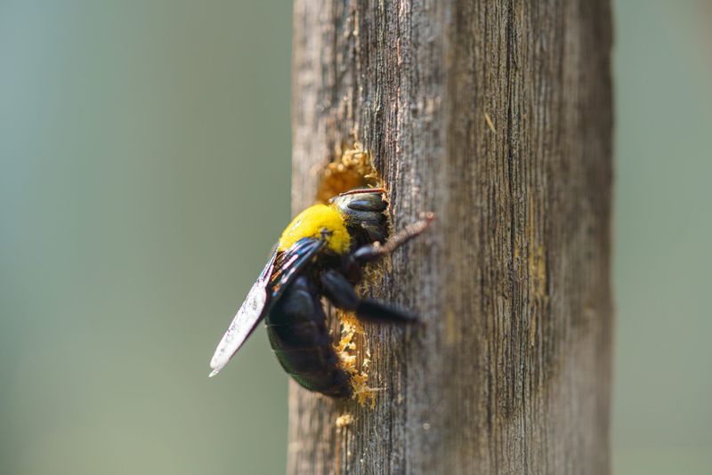 Read the bees, then make the smallest effective change