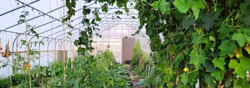 Regulate Humidity Levels