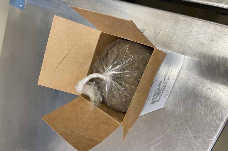 Test for suspected nematodes before choosing a response