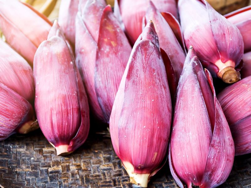 The blossom’s promise is not proof of superior nutrition or health benefits