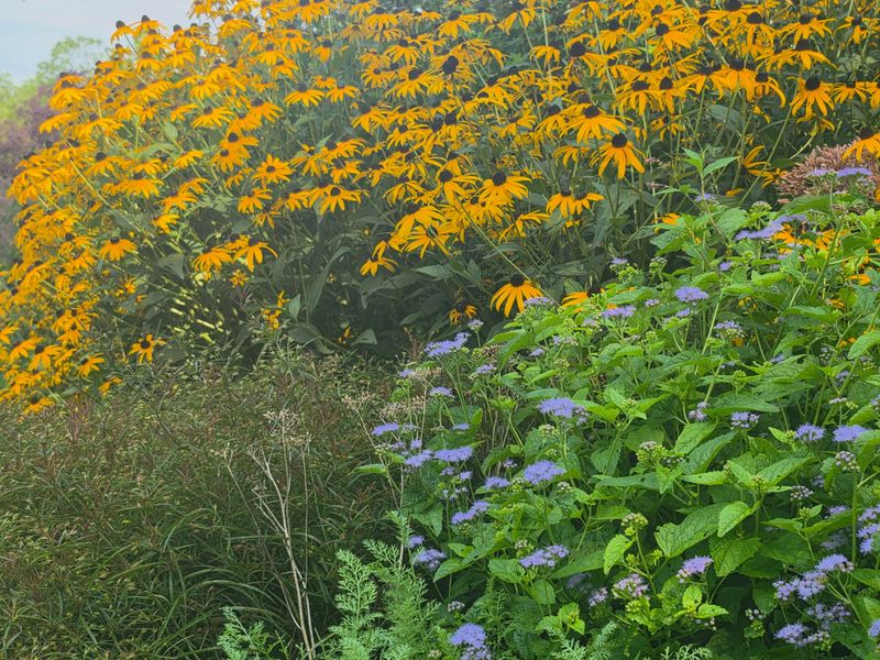Build a Fall Nectar Sequence Around It