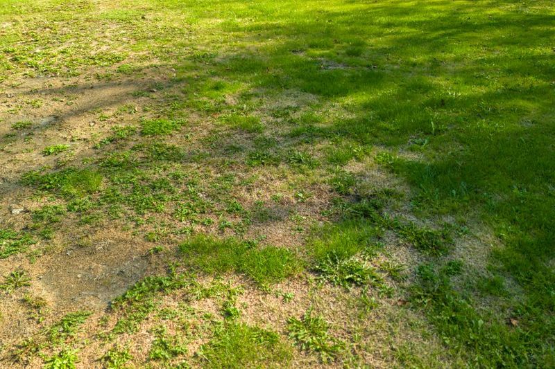 Give seed a path to soil
