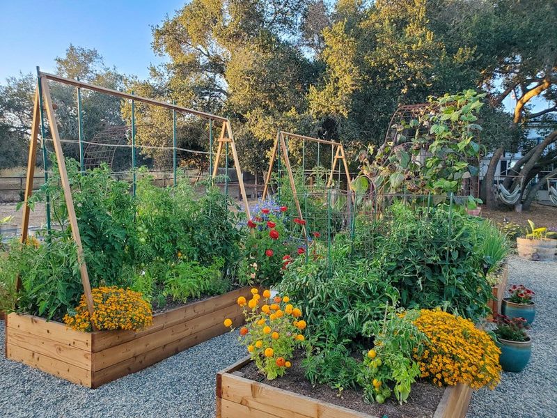A local planting list is a suggestion, not a guarantee
