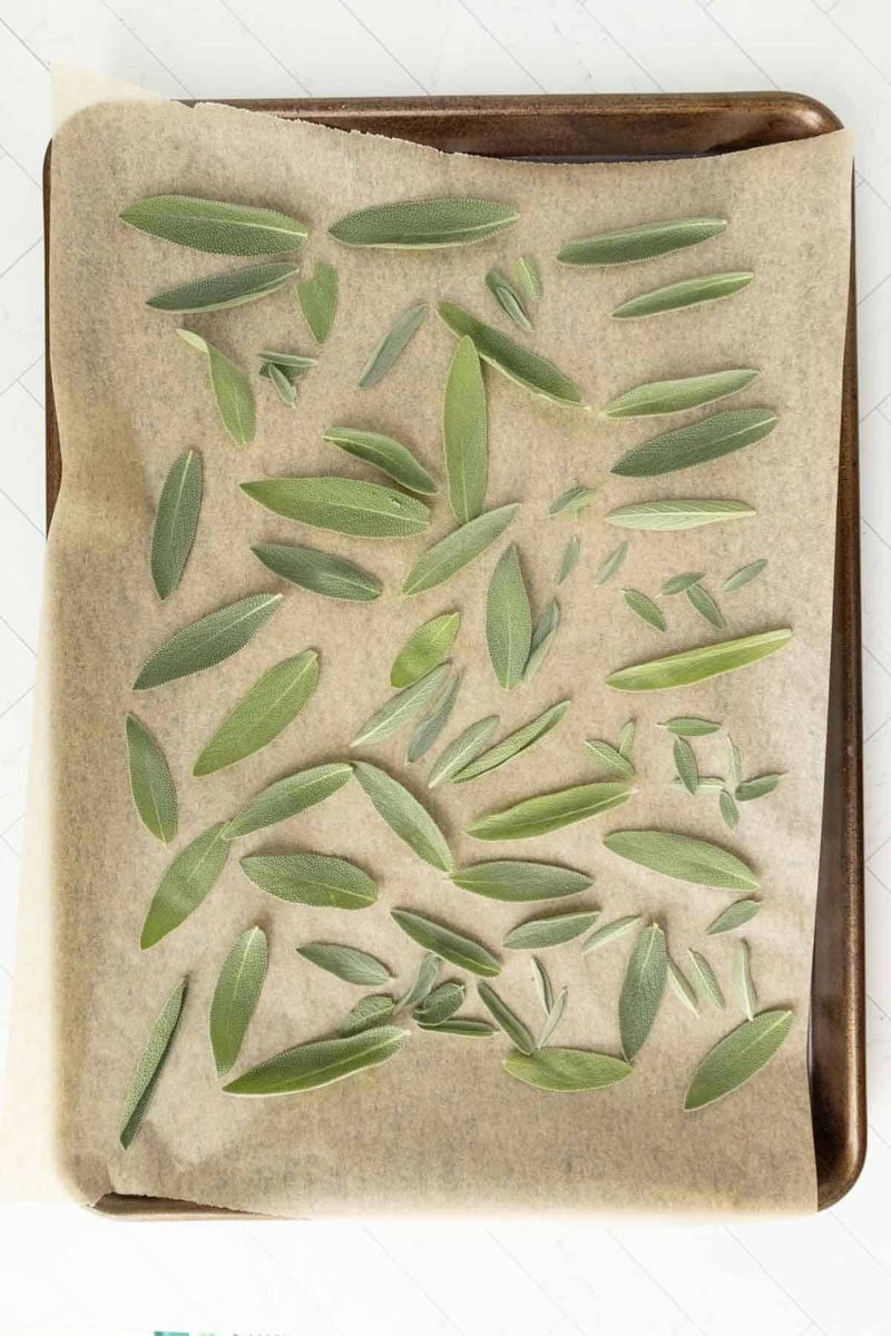 Remove dirt without trapping moisture in the leaves