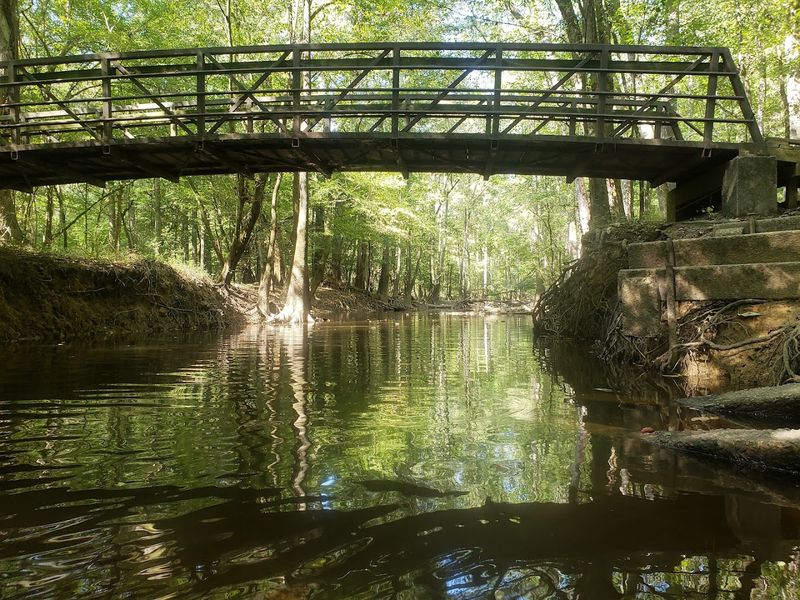 Canoeing And Kayaking Through Ancient Cedar Creek