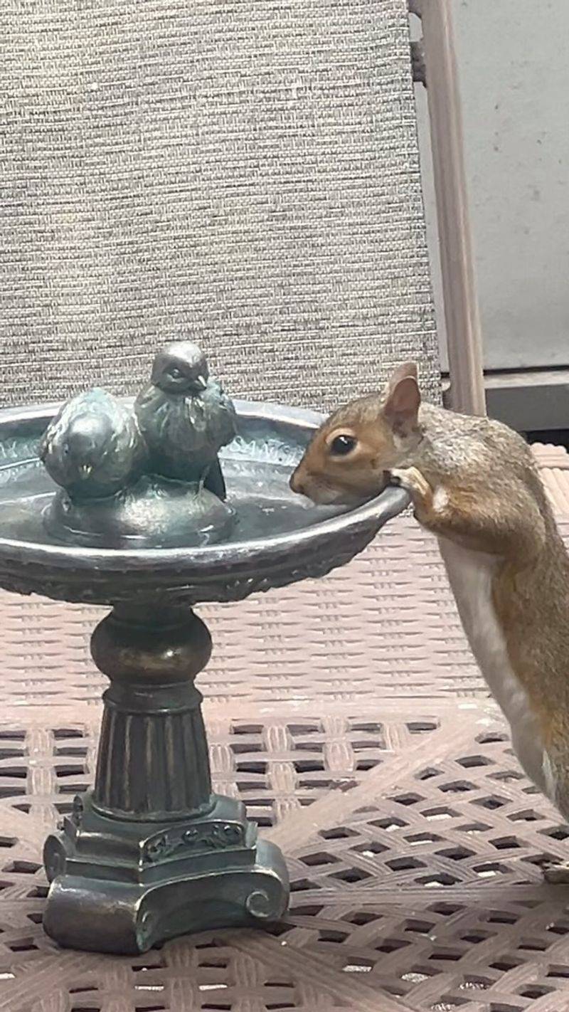 Provide a Distant Water Source
