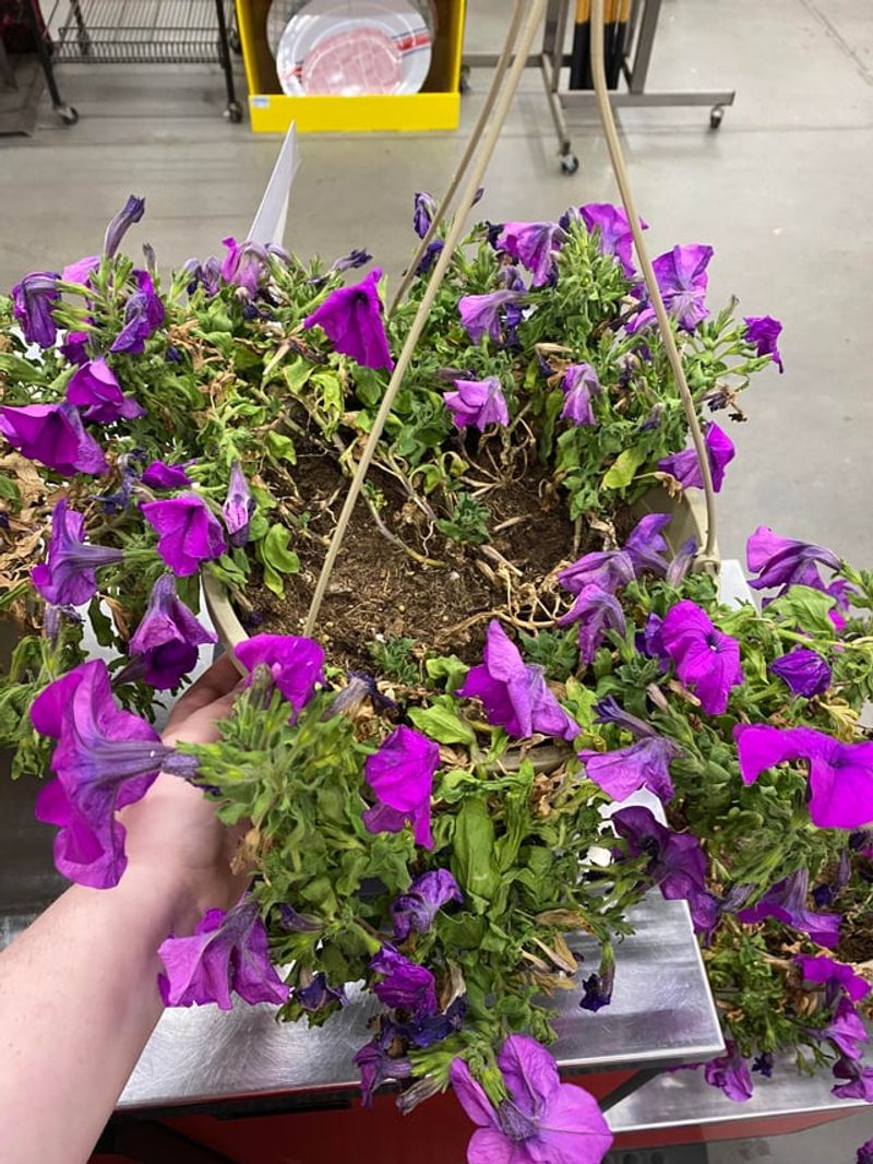 Check before reaching for fertilizer
