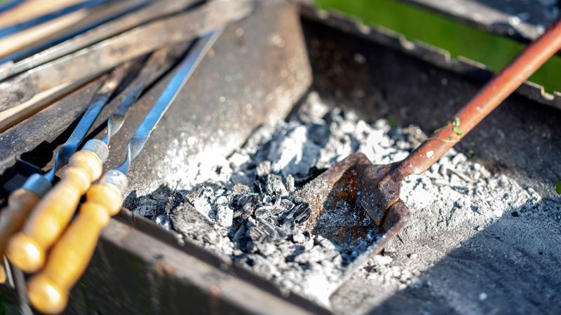 Coal or Charcoal Ash