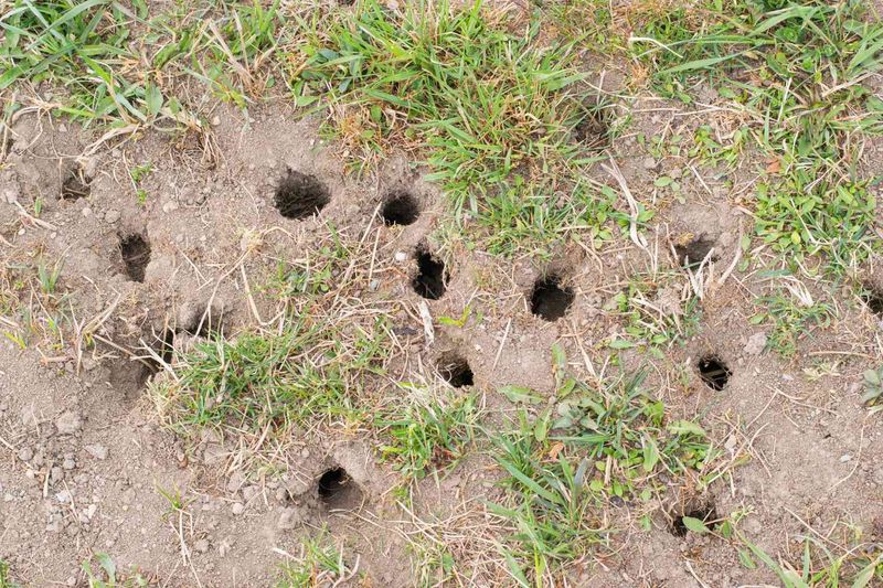 Read the Holes Before You React