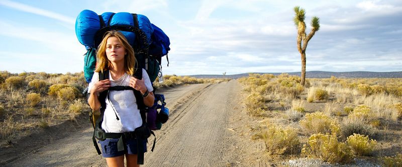 Wild (2014)