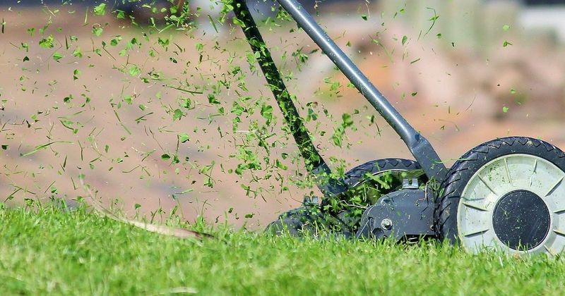 Returning clippings helps keep nutrients cycling