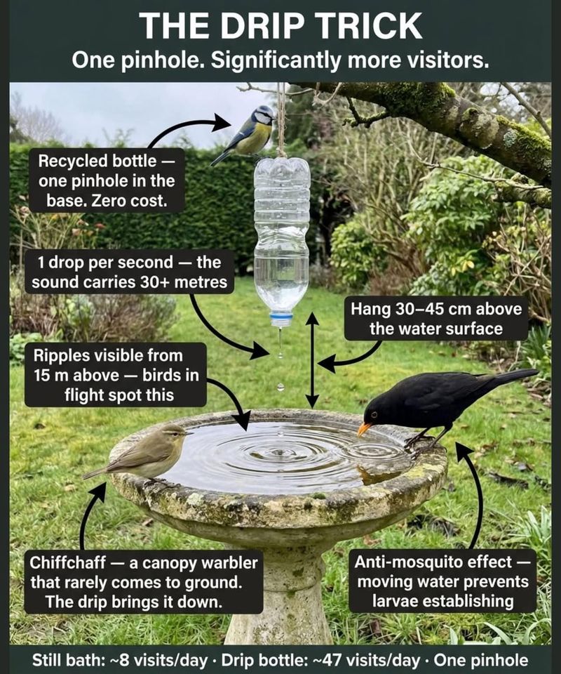 A pinhole container can create the right kind of drip