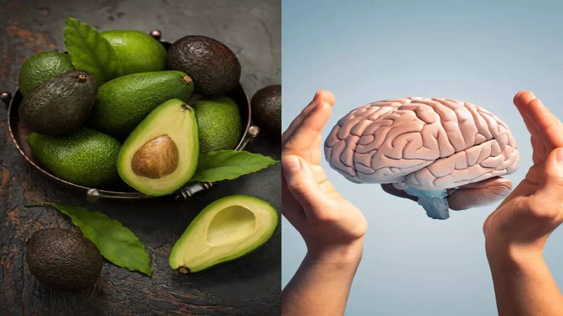 Contributes to Brain Health and Focus