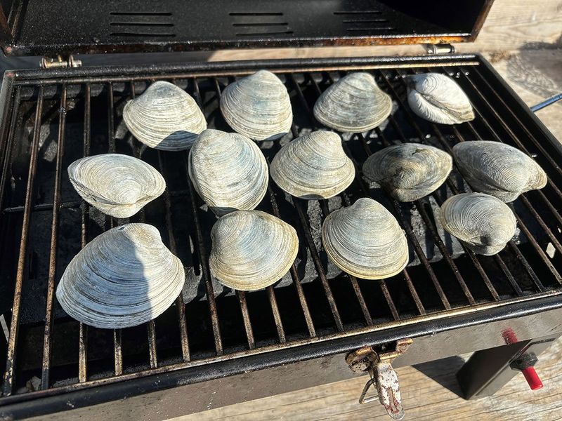 Rhode Island – Grilled Littlenecks
