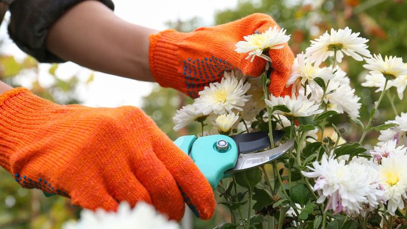 Skipping Deadheading