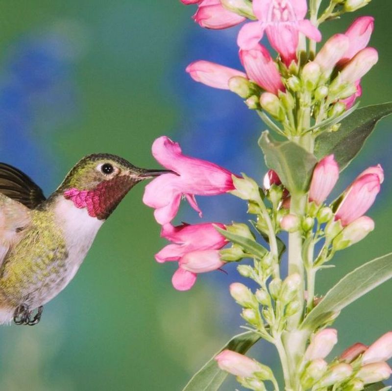 Use the Encounter as a Safer Yard Checklist