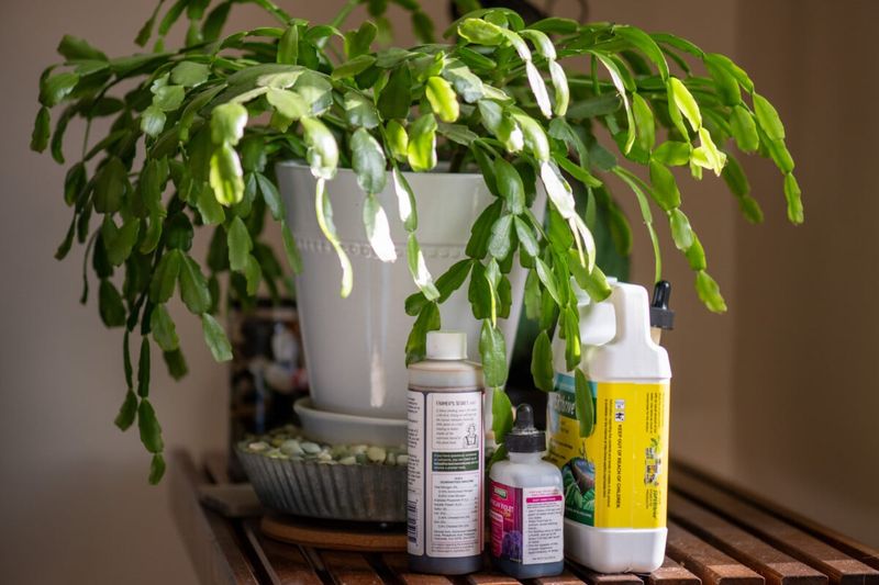 Nutrient Imbalance or Deficiency