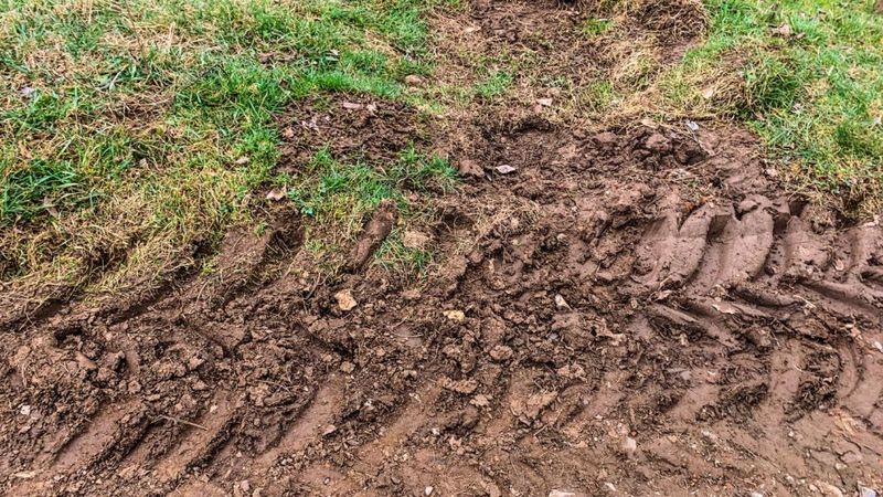 Compacted Soil Choking the Roots