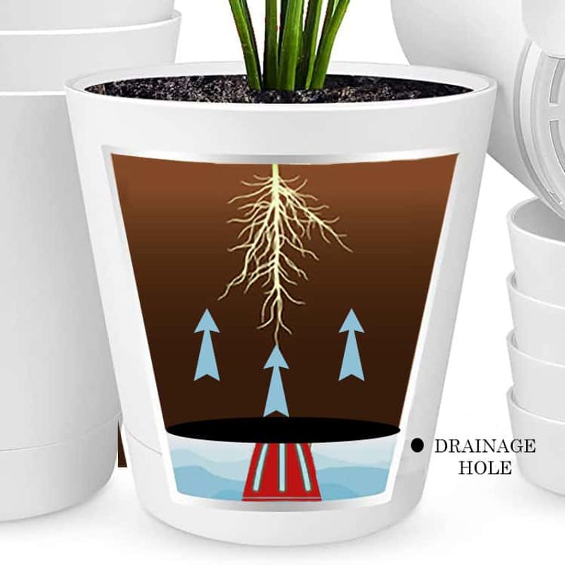 Improve the basket setup for steadier moisture