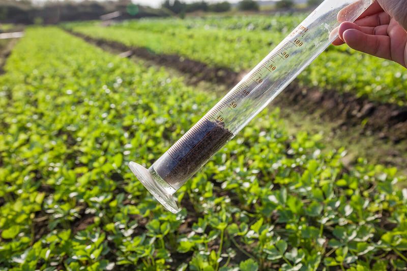 Use Soil Testing When Pollution Has a Credible Source