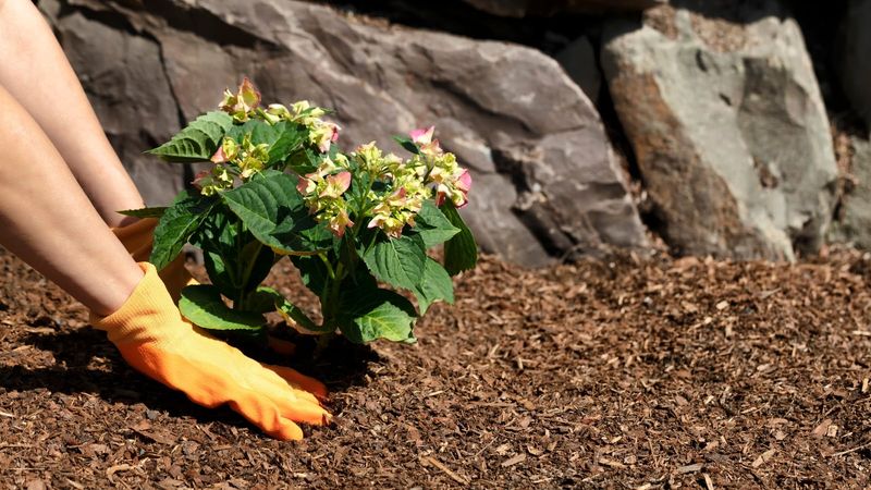 Tuck In a Thick Blanket of Mulch