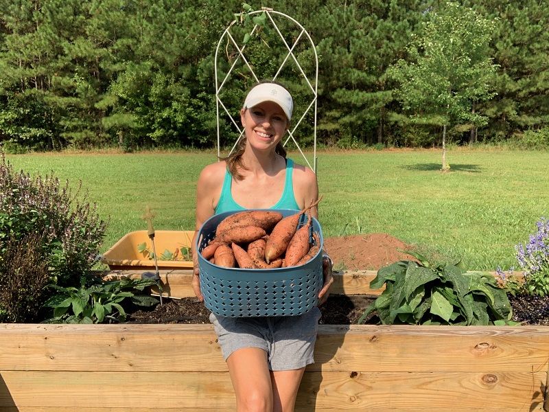 Grow the Crop That Fits Your Patch of North Carolina