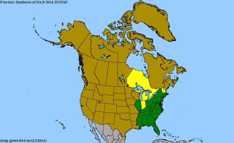 Check the North Carolina Region Before Planting