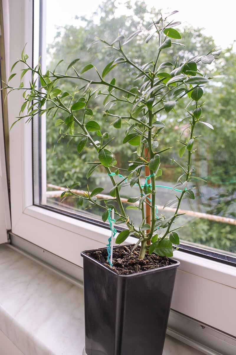 Is the indoor spot bright enough?