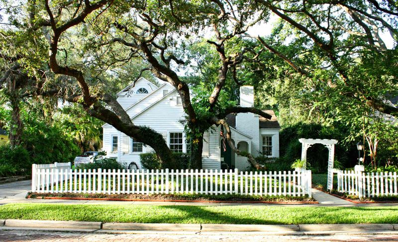 Live Oak