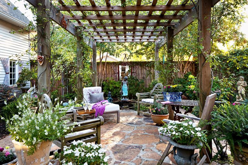 Maintain the Space as Light and Plants Change