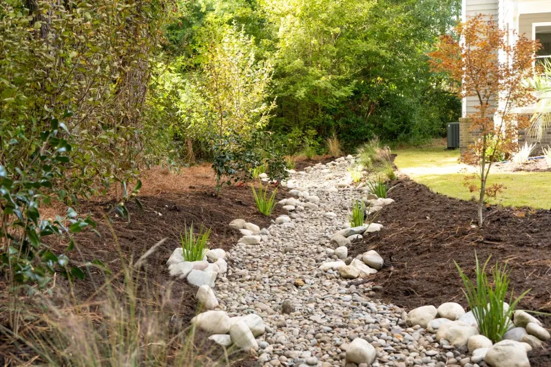 Maintain the planting and monitor its water behavior