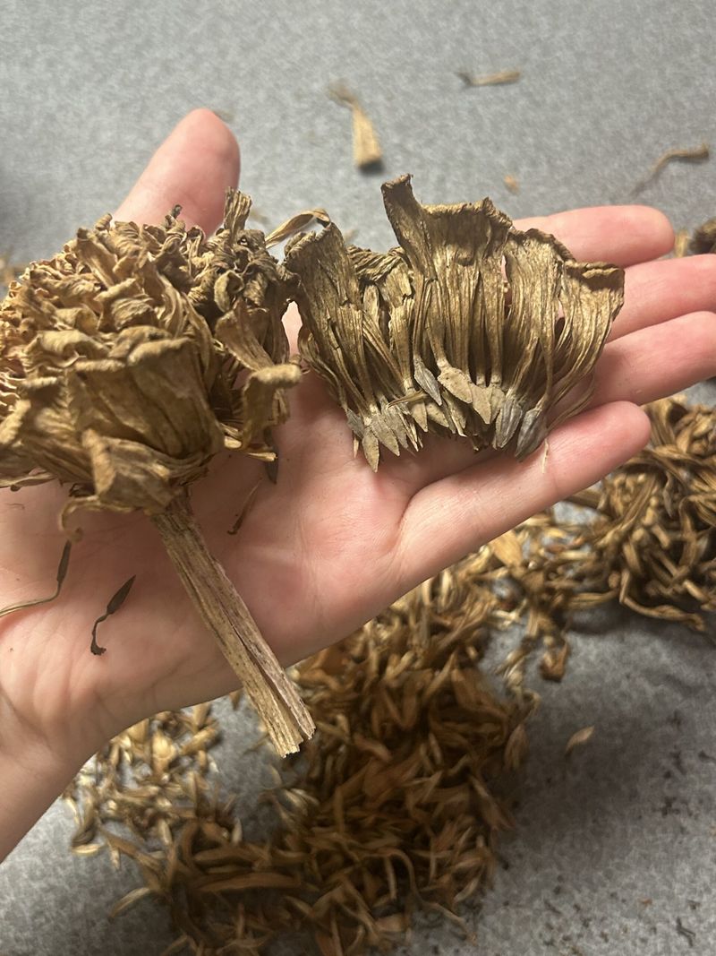 Separate the Seeds from the Chaff