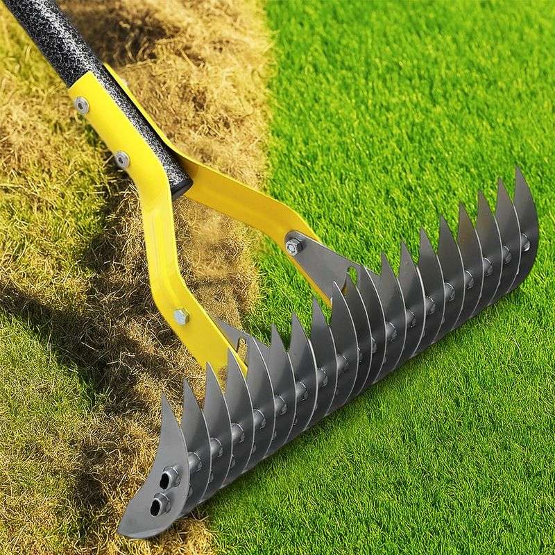 Aggressive Dethatching