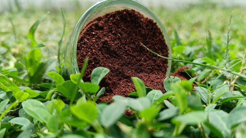 Coffee Grounds