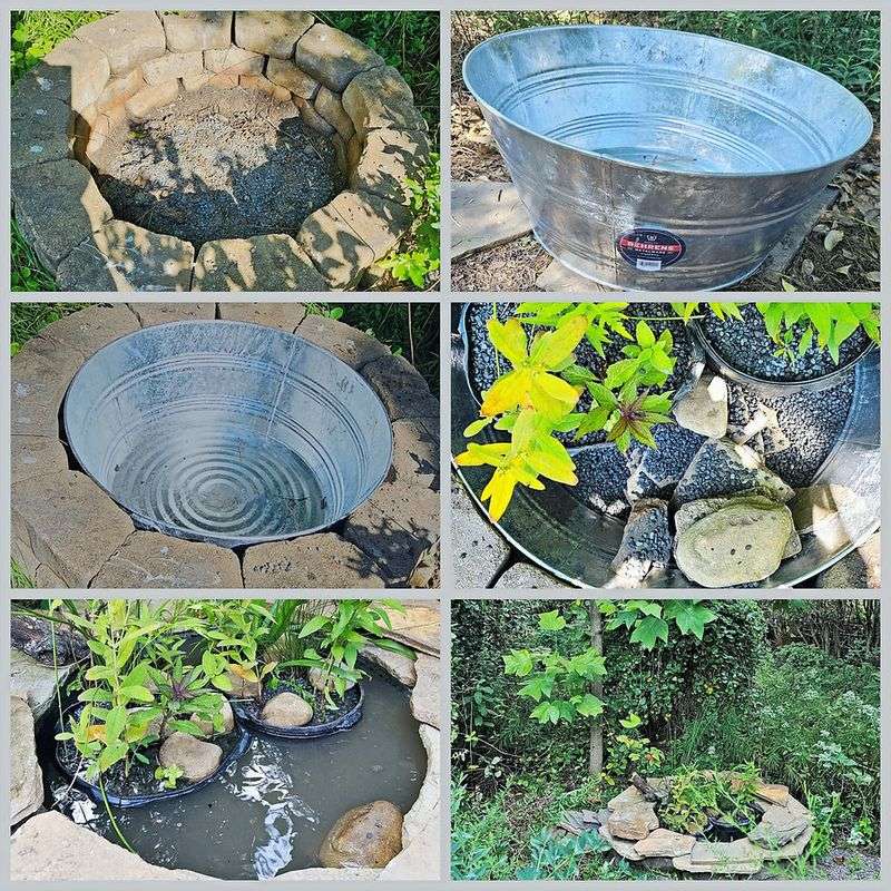 A buried bucket can offer habitat without becoming a pond ecosystem
