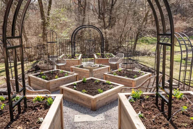 Fix Soggy Soil Before It Rots the Roots