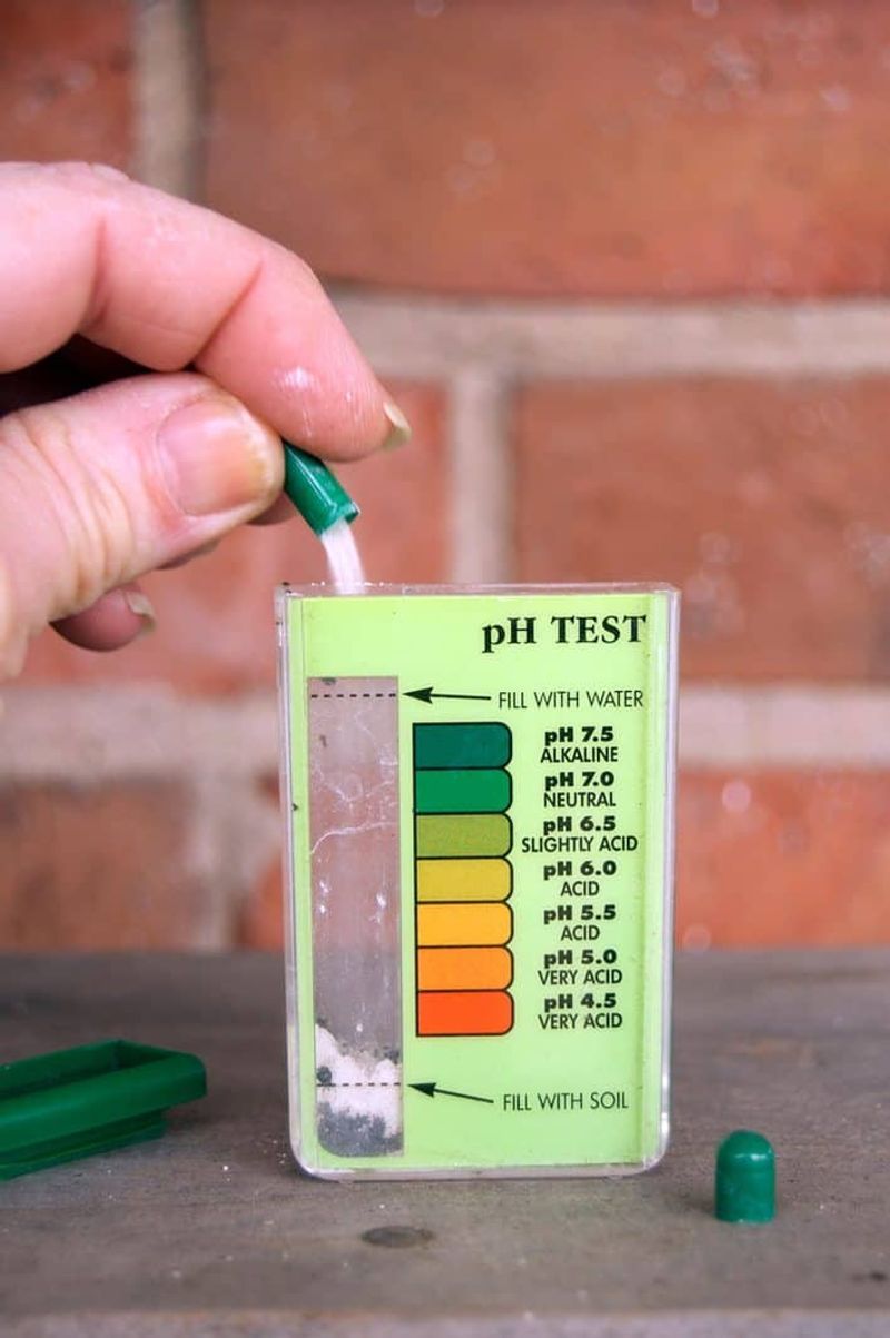 Test Your Soil pH