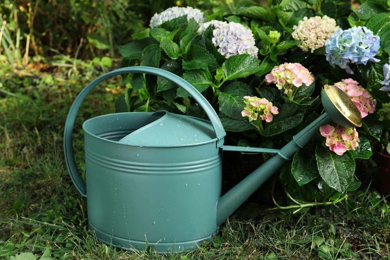 Use a soil-led routine this weekend