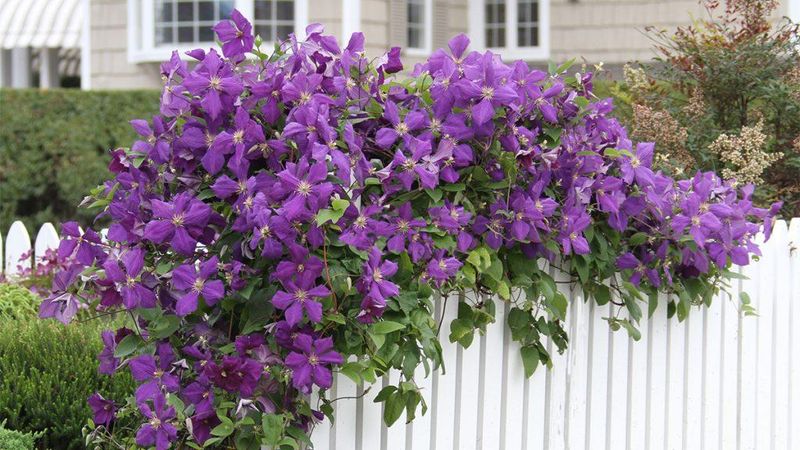Ignoring the Bloom Calendar