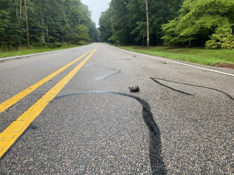 Move It Only When an Immediate Hazard Requires Help