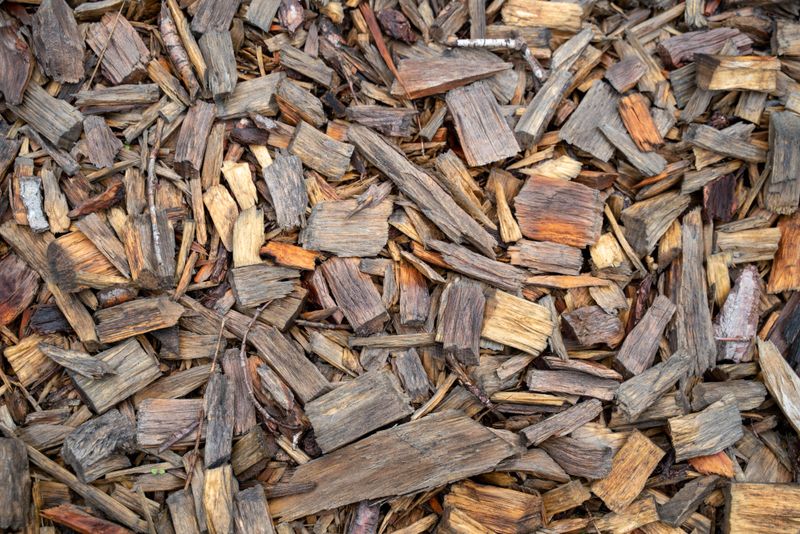 Layer Mulch To Cut Off Sunlight
