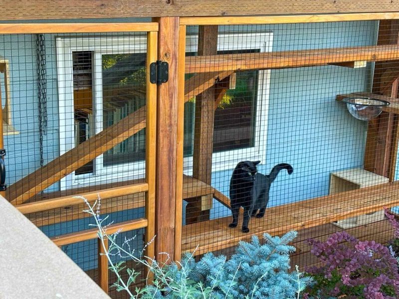 A Predator-Safe Yard Layout
