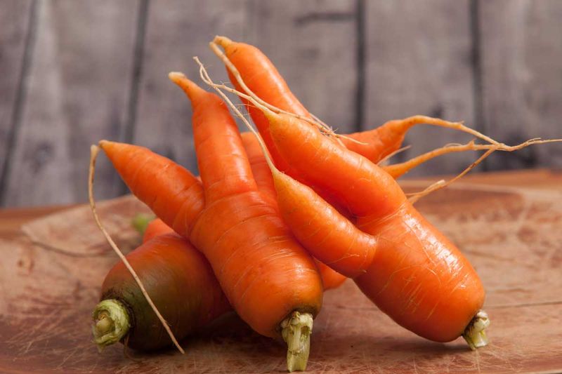 A Misshapen Harvest Still Gives You Useful Information