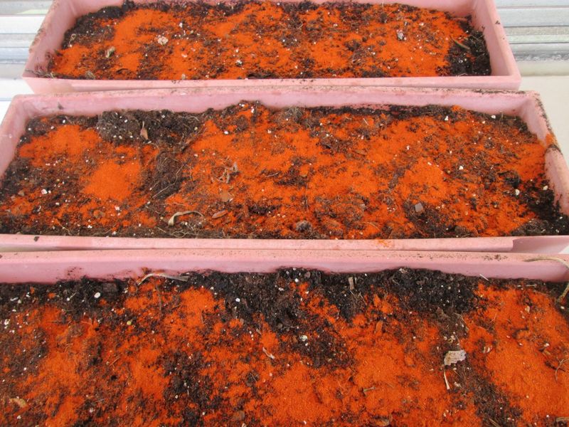 Cayenne Pepper