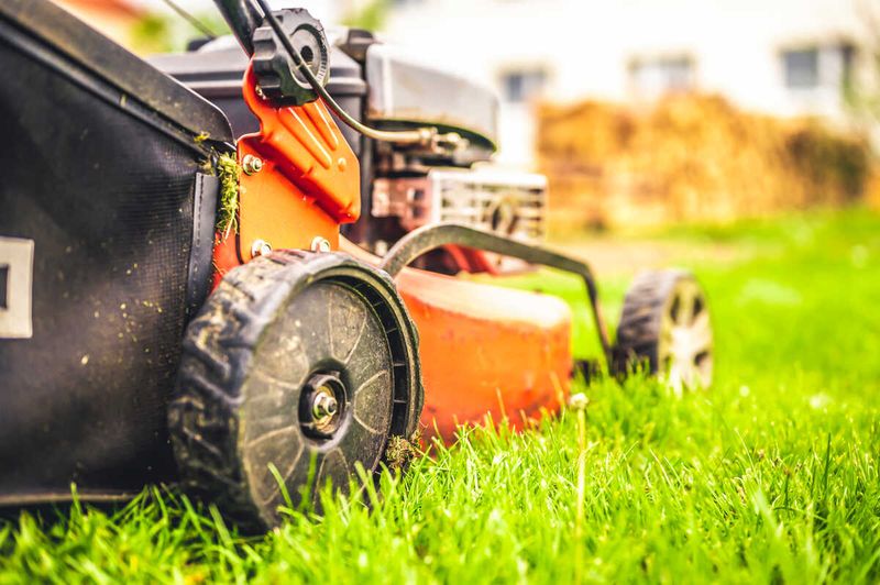 Build a Steady Mowing Routine Instead of Scalping