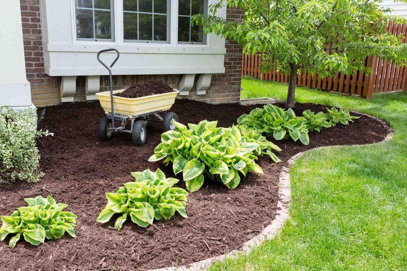 Hand-pulling and mulch can tackle weeds without a spray