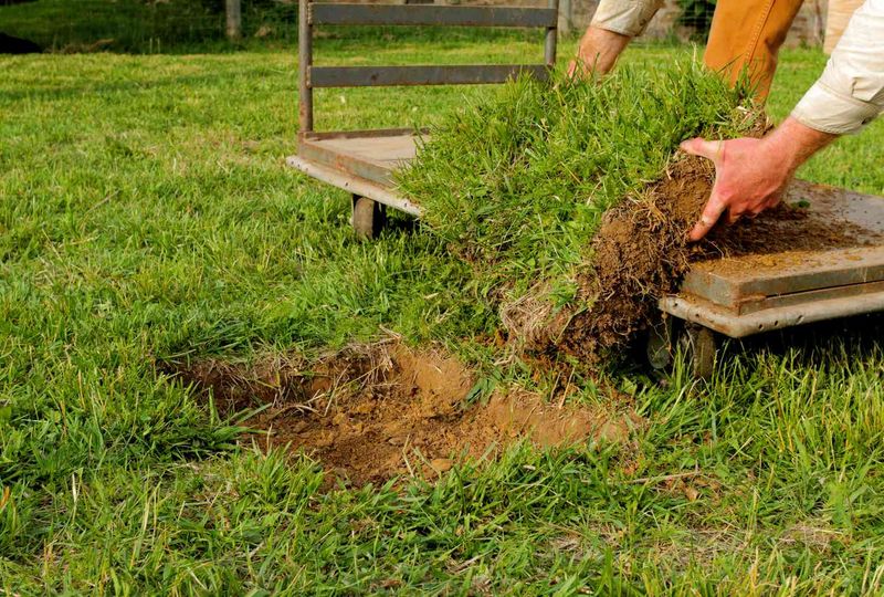 Lift sod to correct a deeper localized dip