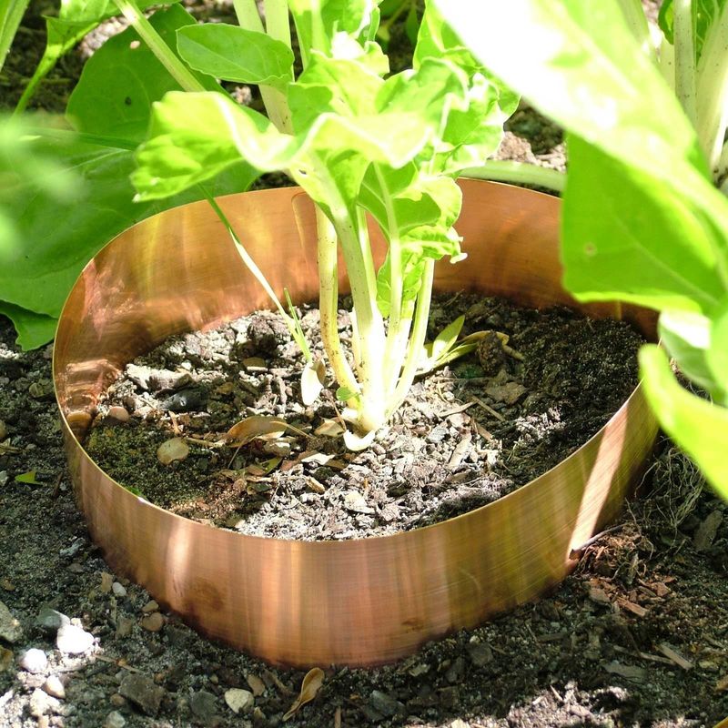 Choose a bounded target instead of trying to shield the whole garden
